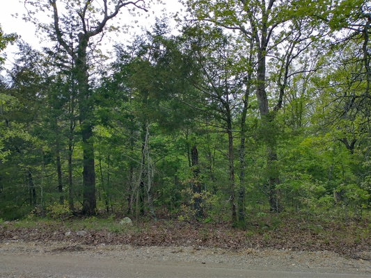 .26 acres ready to build in Izard county with paved road access less than $99/mo.