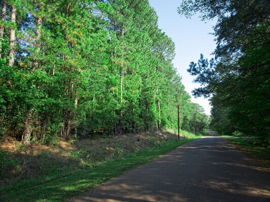  Large Lot with Community Access to Lake - $311/mo [466UF]