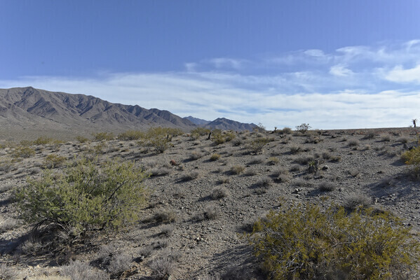 Welcome to Your Paradise in Mohave Arizona ~ 2 acre No Down!