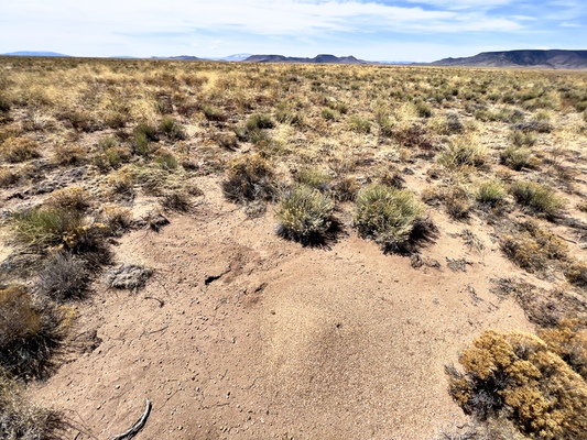 Your Own 5.6 Acres of Breathtaking CO for $166/Mo! {84Evp}