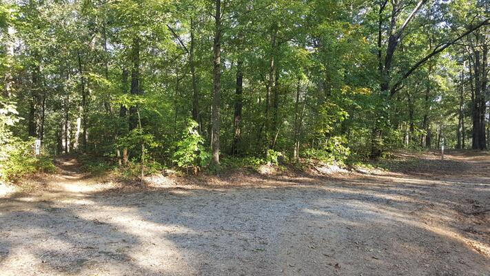 0.31 Acre Invest In Your Happiness in Izard County
