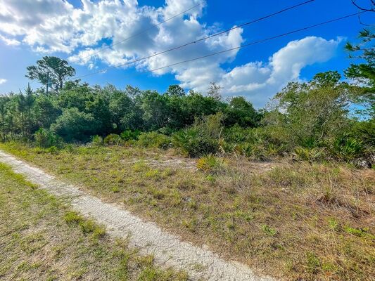 Luxurious Vacant Lot in Sebring!