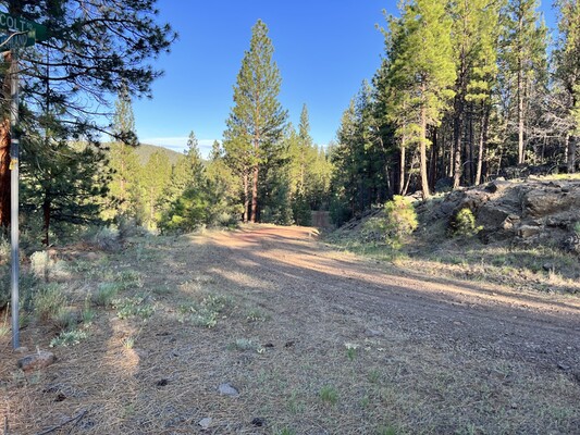 Exceptional 0.98-Acre in Hill District of CA Only $175/Mo!