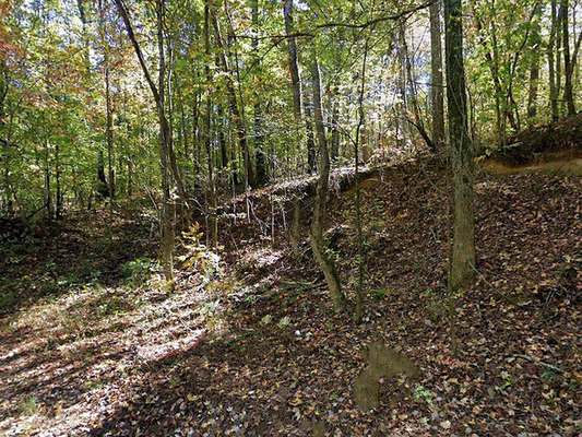 0.52 acres in Floyd, Georgia - Less than $270/month