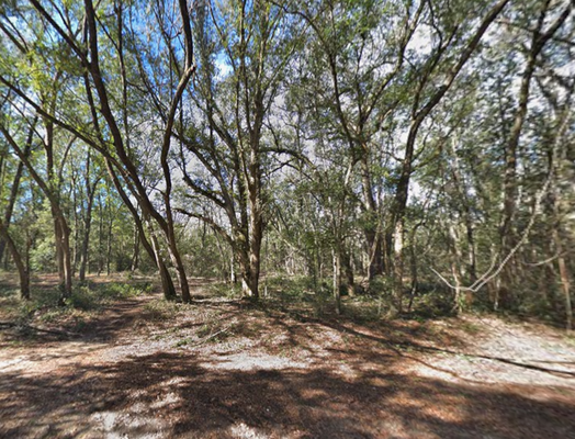 Final Days! Snag This FL Lot Before the Month Ends-$179/Mo!