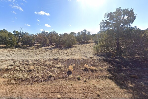 1.21 Acres in Concho, Arizona (only $200 a month)