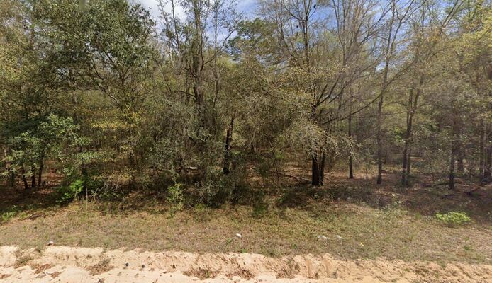 Purr-fect 0.22 Acres! Accessible by Kitty Ave in FL $235/Mo