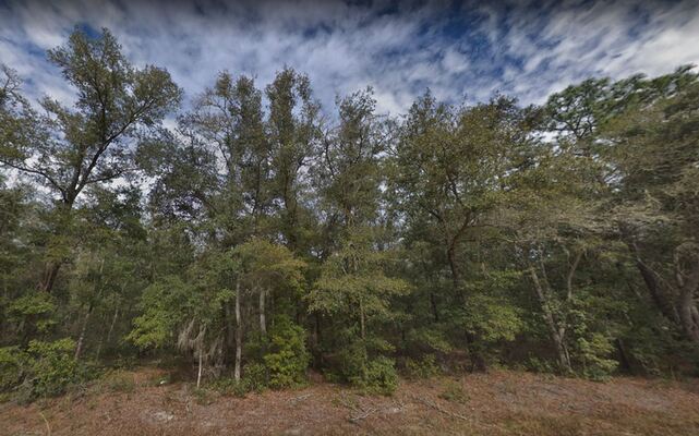 0.22 Acres for Only $199/Mo in Gorgeous Putnam Florida!