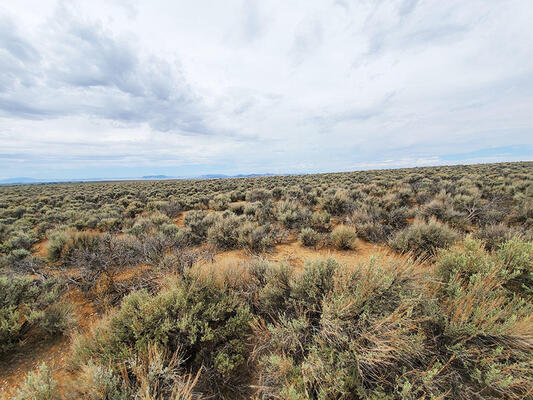 4.94 acres in Costilla County, Colorado - Less than $230/month