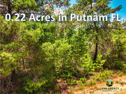 Florida, Start building your dream house On this secluded property in Putnam County,right away!