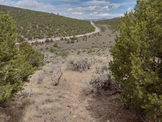 Colorado Mountain property with road frontage, views and priced to move fast!