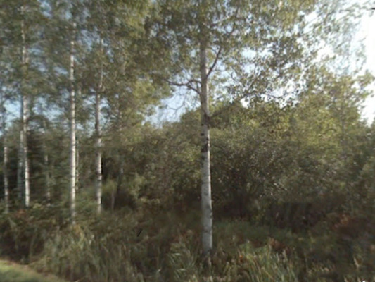 0.28 acres in St. Louis, Minnesota - Less than $210/month