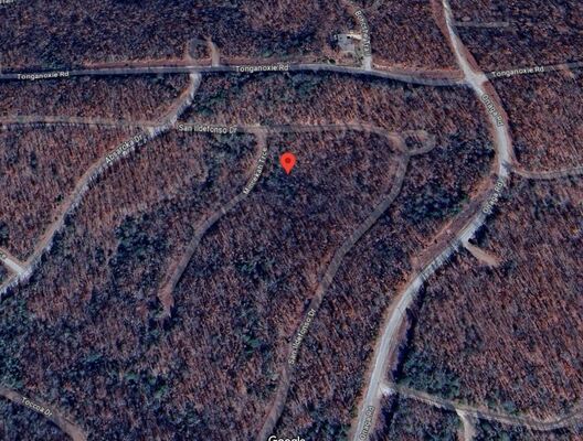 0.30 Acres with Owner Financing in Fulton County Arkansas!