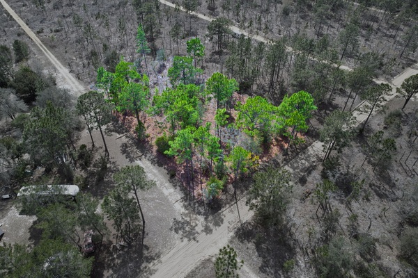 Interlachen, FL - Putnam County Land for Sale | Landmodo
