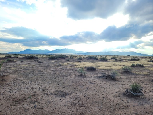 SOLD: RARE 2 Acres of NO ZONING Land w/ INSTALLABLE ELECTRICITY and Mountain Views! Only $199 Down!