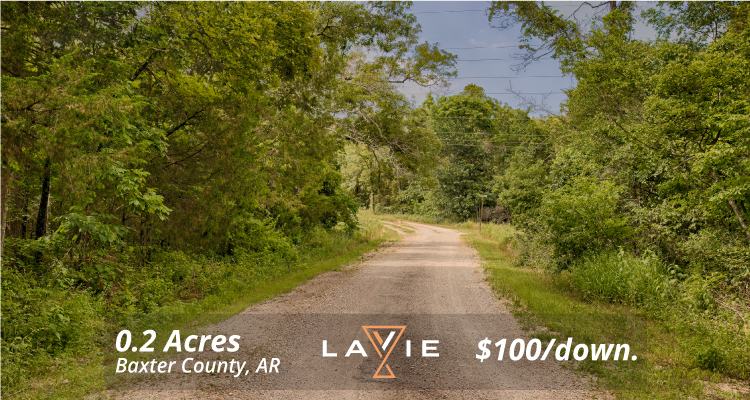 Exclusive Land Investments Now Available in Baxter County!