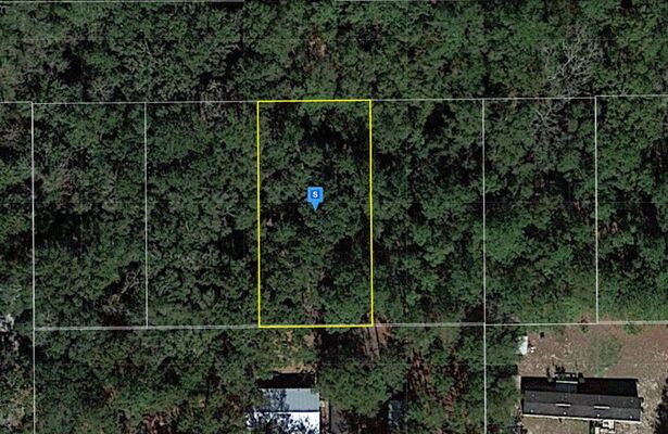 0.26 Acre for Sale in Suwannee County Florida!