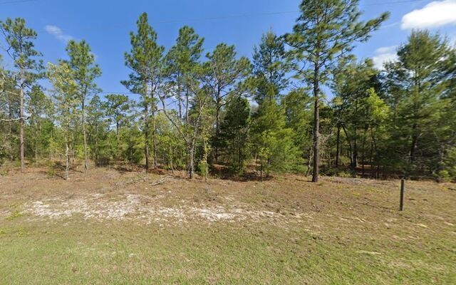 Live the Florida Dream On 0.72 Acres in Clay Florida!
