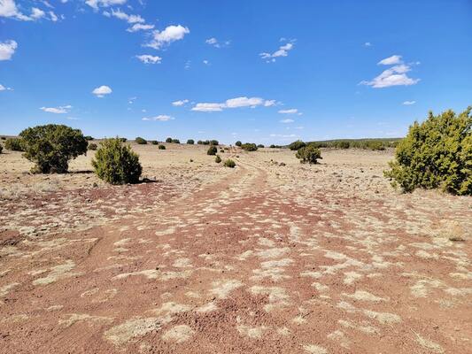 Embrace Scenic Concho: 1.04 Acres, $149/Month Opportunity!