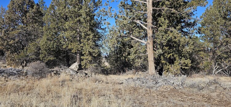2.93 Acres in Sprague River, OR: Raw, Real, Ready for You!