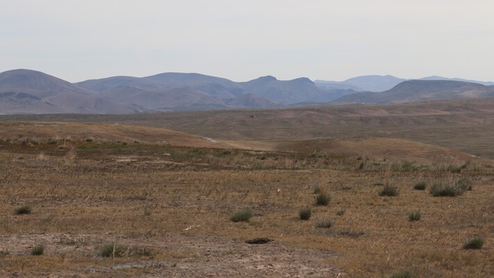 80 Acres of Land in the Beautiful Nevada Desert Valley, No Restrictions