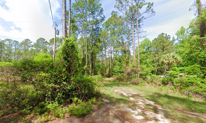 Dream Big- Prime 1-Acre Lot in  FL- with Nearby Power Access