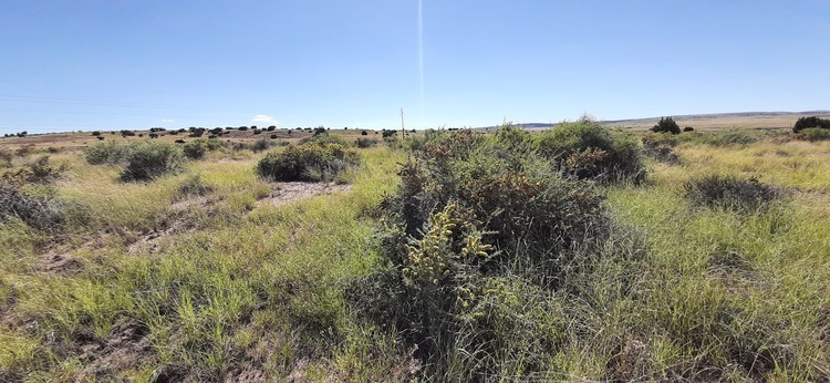 Pristine  2.97-acre Vacant Land in St. Johns, AZ is YOURS TODAY for $235/Mo!