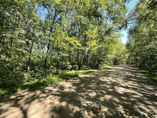 Nature lover's paradise: 0.53 acres near Port Mille Lacs with payment plans available