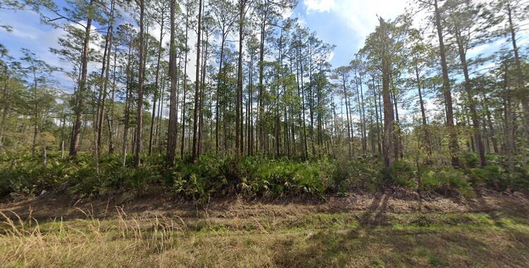 Grow Your Wealth! .22 Acres Available in Interlachen, FL!