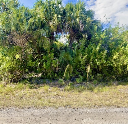 0.23-acre Vacant Residential Lot in Palm Bay, Florida