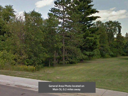 0.17 acres in Carlton County, Minnesota - Less than $180/month