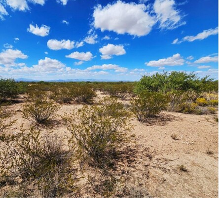 Create Your Getaway on 0.17-Acres lot in AZ- $70/month!