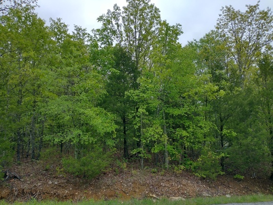 Seize the Opportunity: Own 0.38 Acres of Untouched Land in AR!