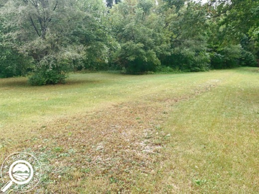 0.77 Acres for Sale in South Bend, Indiana. Just a Short Drive to Long Beach!