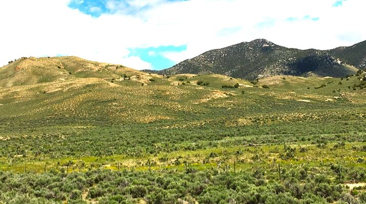 Affordable 40 Acres Land in Montello, Nevada
