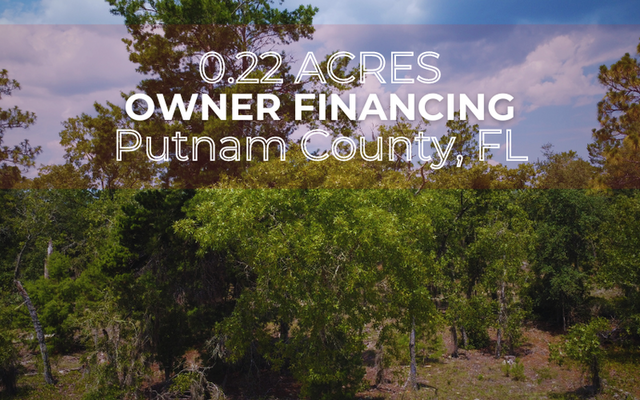 SOLD! Wooded Lot with Water Access <strong> <s>$399</s></strong> $200 Down!