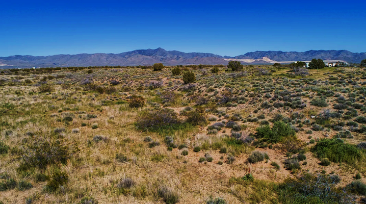 Great Escape: 1.25-Acre Retreat in Mohave, AZ ONLY $135 MO!