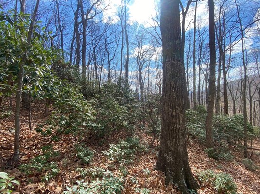 SOLD! Your Mountain Dream: 1 Acre, Ashe, $289/Mo!