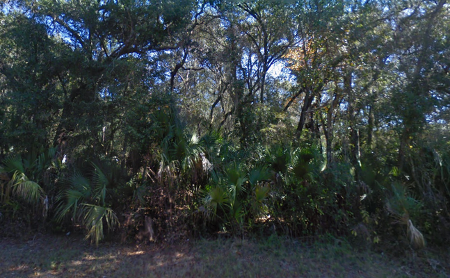 Golden Rays of Opportunity! .42 Acres in Marion, FL $277/Mo.