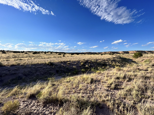 4 acres to make your future better in Apache, AZ!