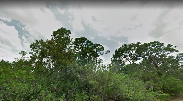0.20 acres of Unspoiled Land in Highlands County, Florida! ONLY $199/Mo