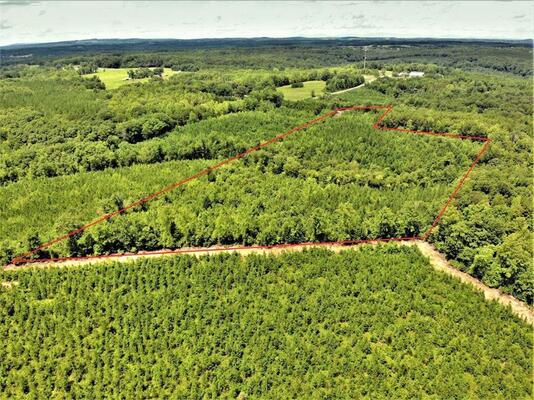 Great Investment! 15.75 Acres Woodland in Pittsylvania, VA