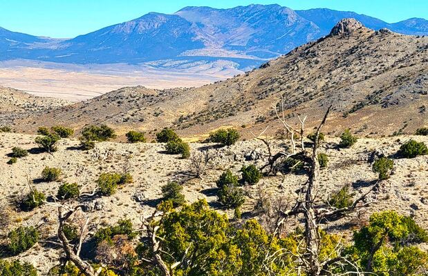 Explore/Hunt/Hike 40 Acres in the Desert Mountain