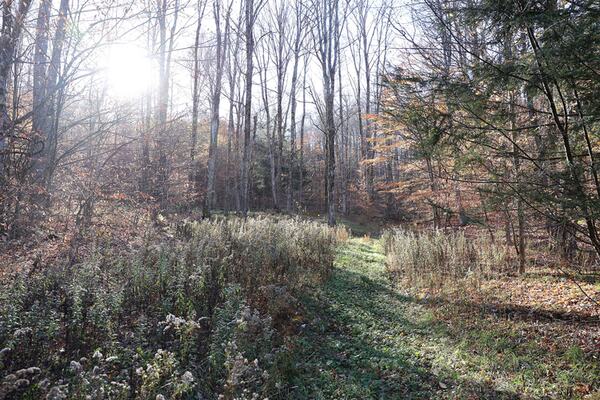 Beautiful 4.70 Acres in North Pennsylvania – Near National Forests, Get Instant Equity!