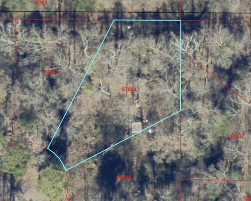 .25 Acres in Upshur County, TX