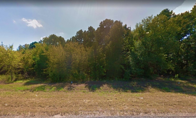 0.34 Acre in Pittsburg, Texas (only $250 a month)