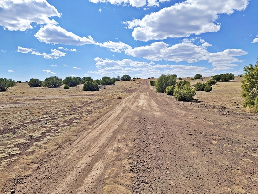 Arizona's Gem: 1 Acre in Apache County – Start at $149/Mo!