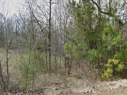 0.60 acres in St. Clair, Alabama - Less than $320/month