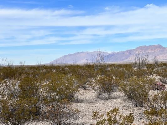 $1 DOWN 20-Acre Land in Presidio County West Texas!