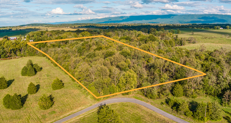 12.1 Acres in Stunning Shenandoah Valley!